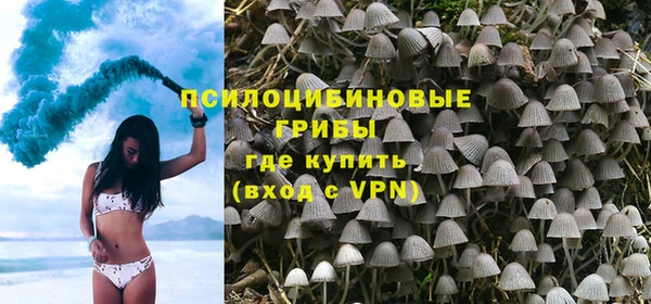 сатива Абдулино