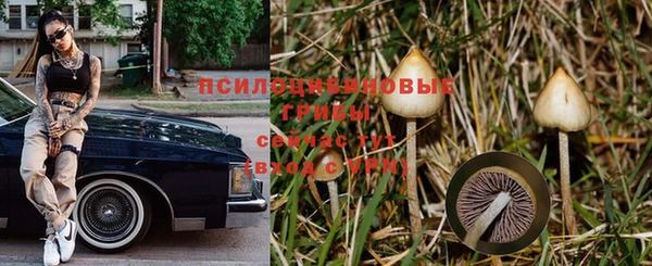 скорость mdpv Алзамай