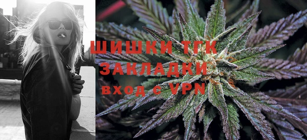 амф Алексин