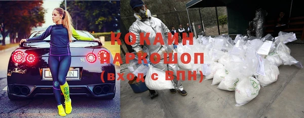 амф Алексин