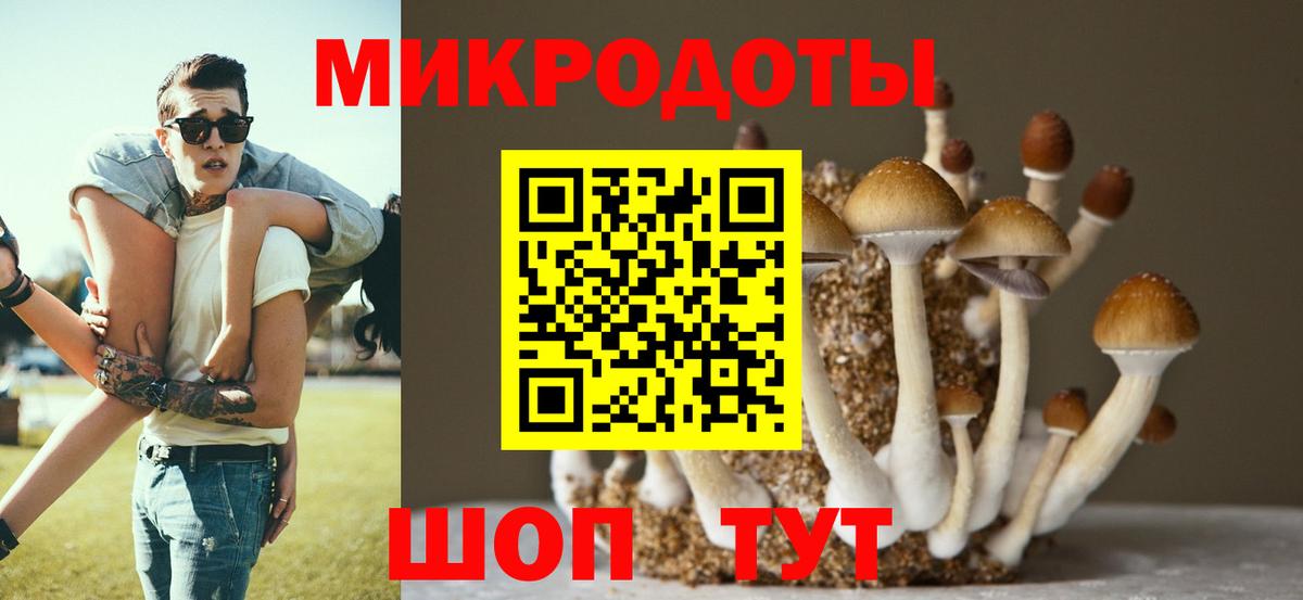 Симферополь  Галлюциногенные грибы прущие грибы  Вход с VPN 